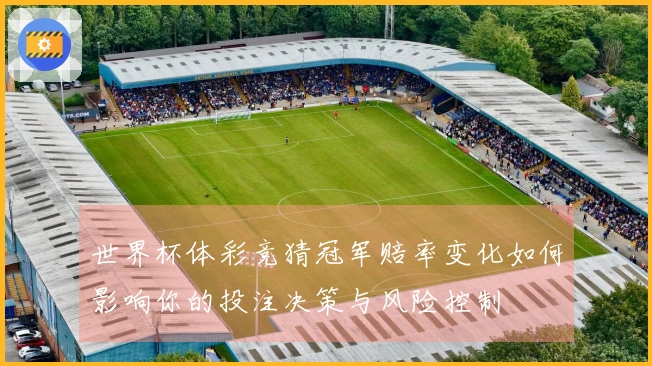 世界杯体彩竞猜冠军赔率变化如何影响你的投注决策与风险控制