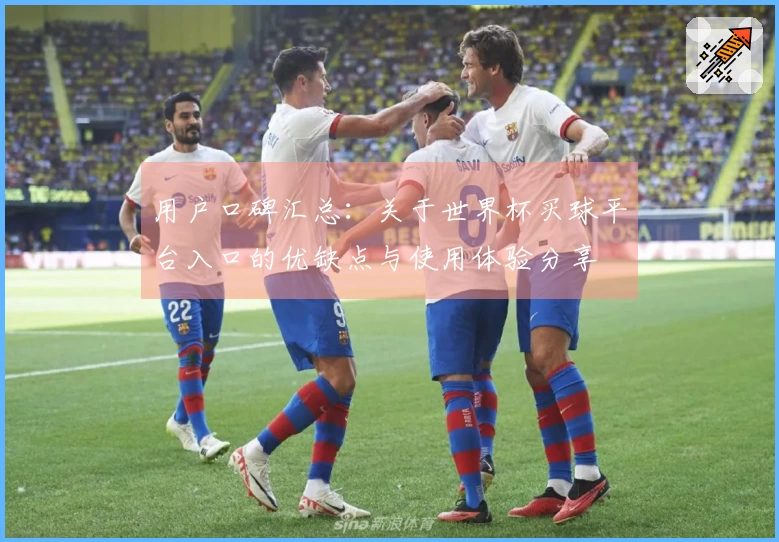用户口碑汇总：关于世界杯买球平台入口的优缺点与使用体验分享