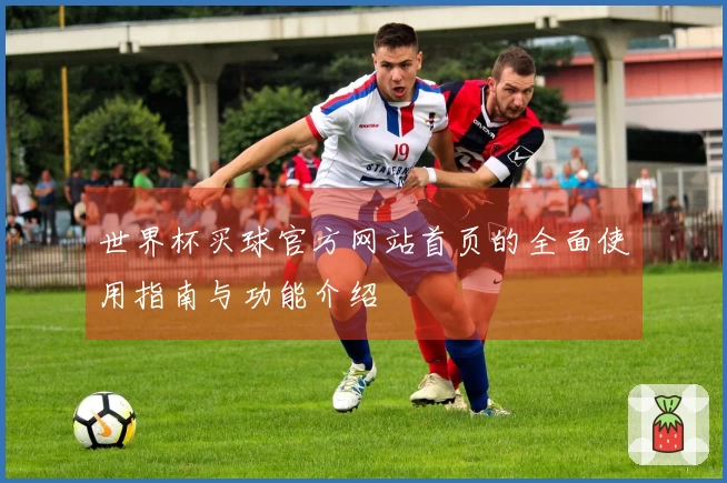 世界杯买球官方网站首页的全面使用指南与功能介绍