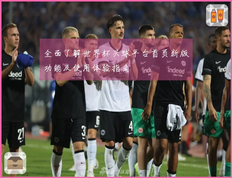 全面了解世界杯买球平台首页新版功能及使用体验指南