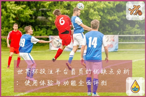 世界杯投注平台首页的优缺点分析：使用体验与功能全面评测