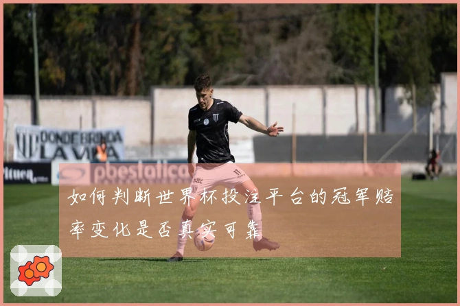 如何判断世界杯投注平台的冠军赔率变化是否真实可靠