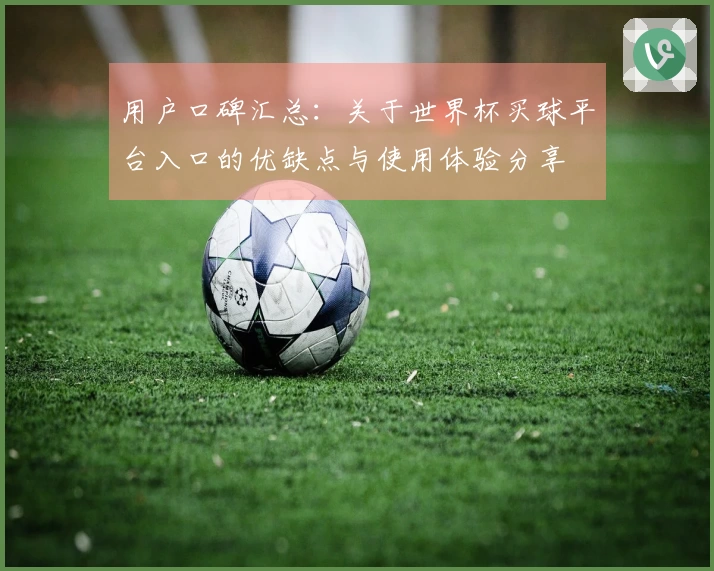 用户口碑汇总：关于世界杯买球平台入口的优缺点与使用体验分享
