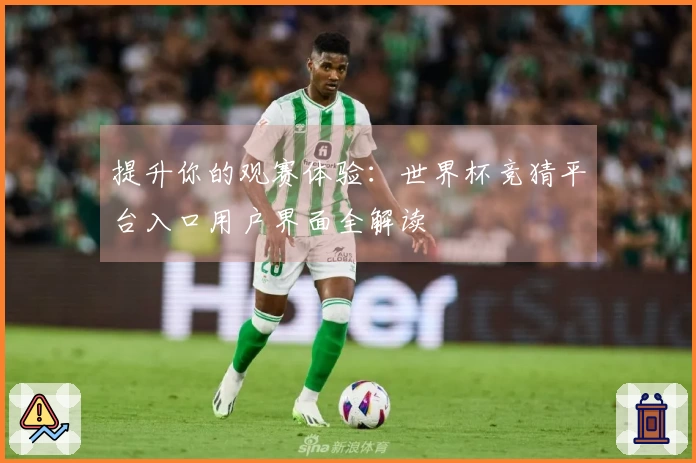 提升你的观赛体验：世界杯竞猜平台入口用户界面全解读