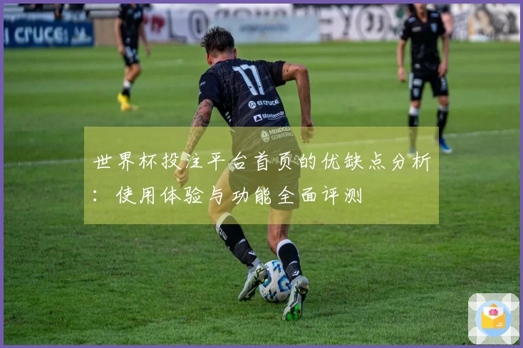 世界杯投注平台首页的优缺点分析：使用体验与功能全面评测
