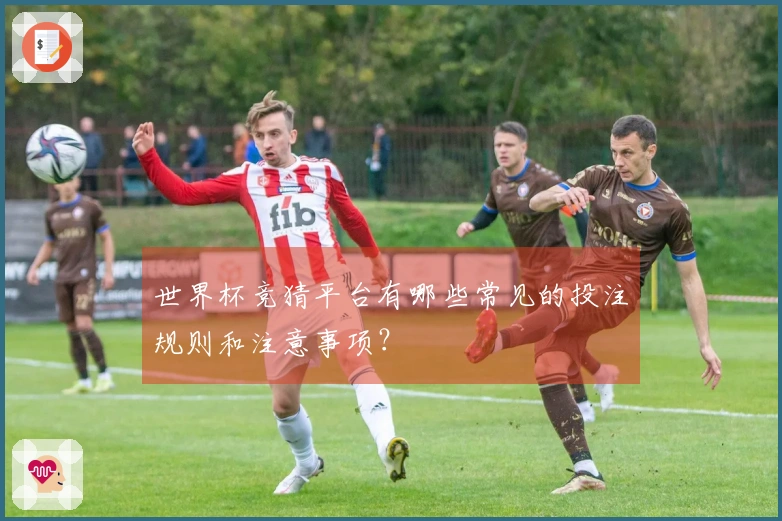 世界杯竞猜平台有哪些常见的投注规则和注意事项？