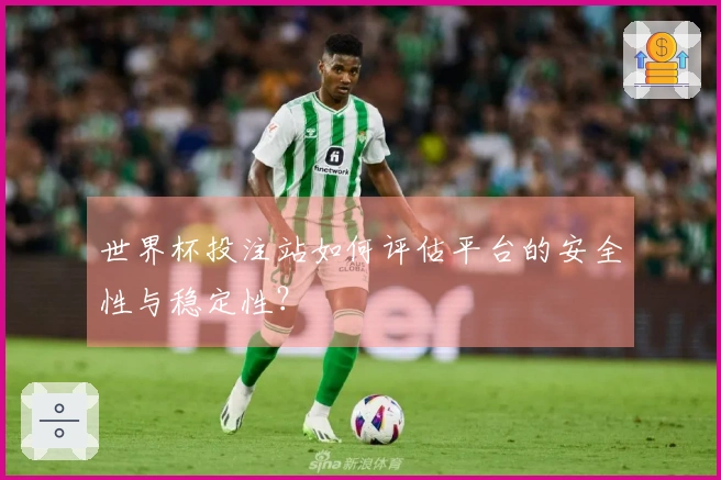 世界杯投注站如何评估平台的安全性与稳定性？