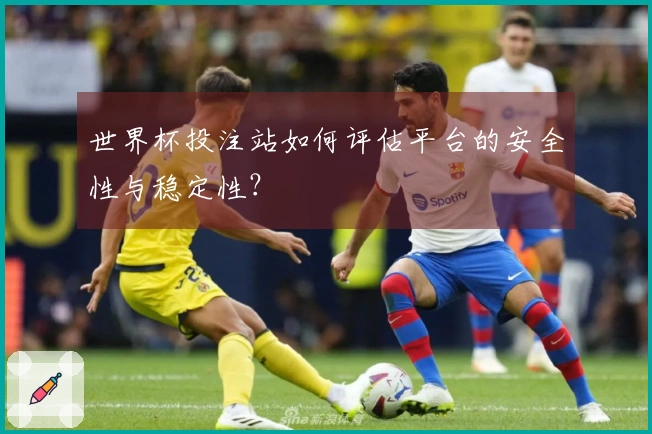 世界杯投注站如何评估平台的安全性与稳定性？