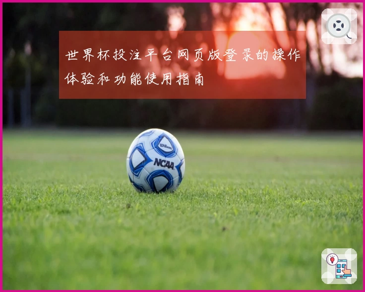 世界杯投注平台网页版登录的操作体验和功能使用指南