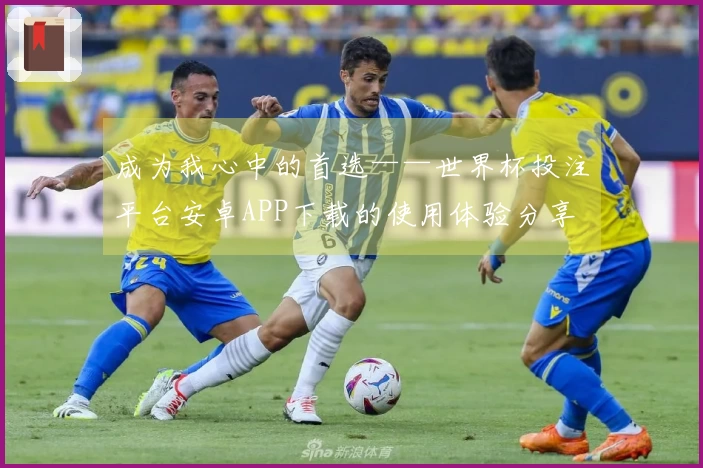 成为我心中的首选——世界杯投注平台安卓APP下载的使用体验分享